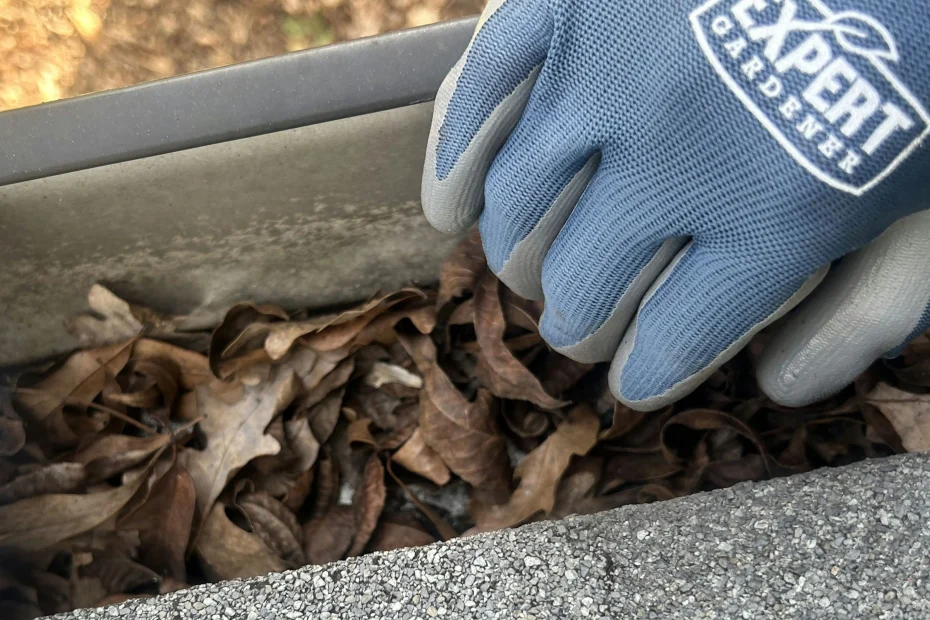 Gutter Cleaning Westfield IN